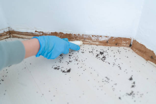 Best Pest Removal Services  in Thompsonville, CT