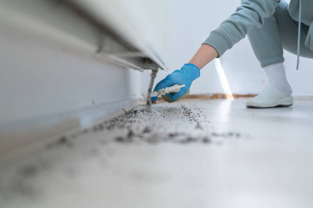 Best Cockroach Control Services  in Thompsonville, CT